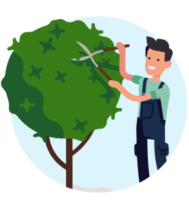 Entretien de vos espaces verts