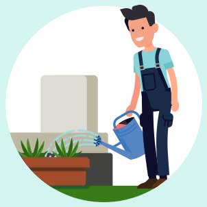 Entretien des jardinières